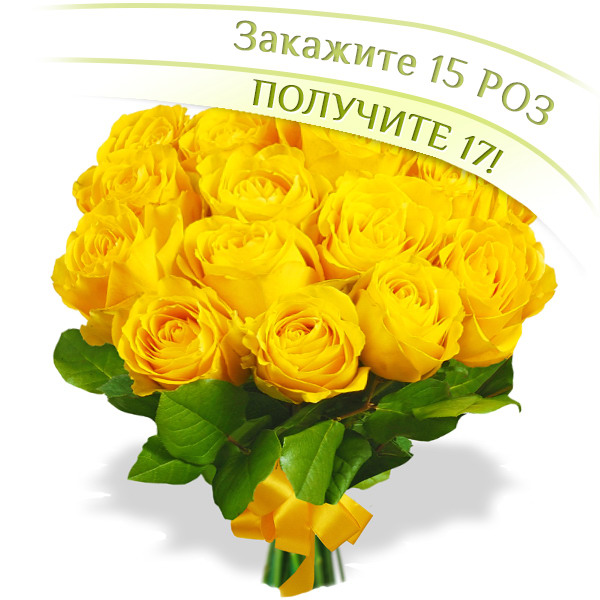 17 желтых роз - букет из 17 желтых роз